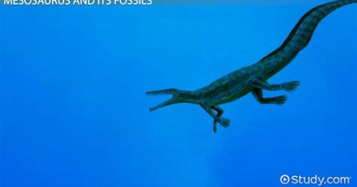 Why Are They Called Mesosaurus?