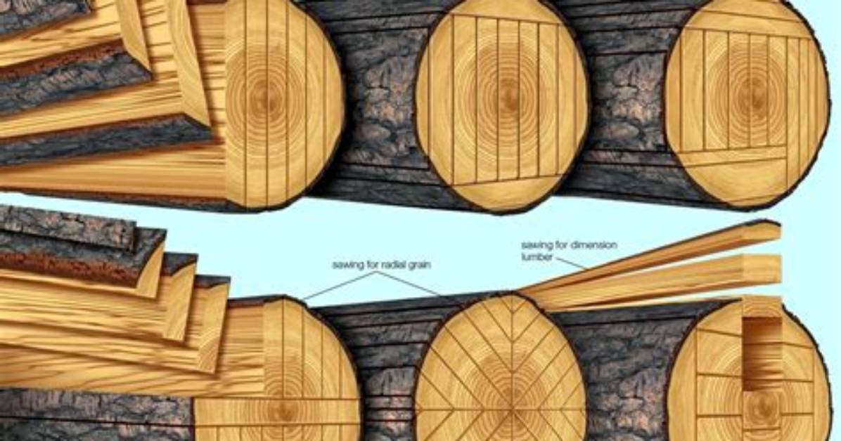 Why Are Tree Logs Converted into Timber?
