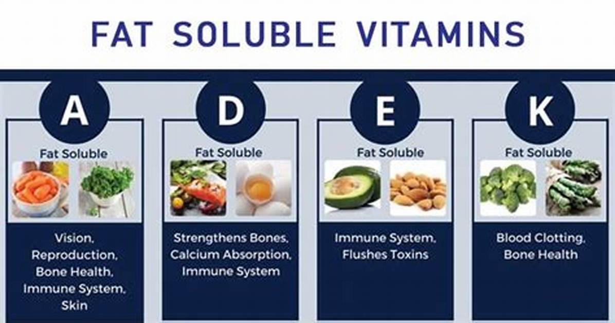Why Are Vitamins Fat Soluble?