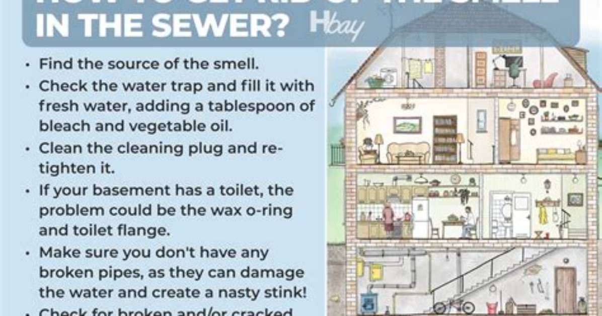 Why Basement Smells Like Sewer?