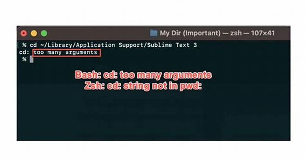 Why Bash -C 'Cd /; Pwd' Fails When It Is Run via Ssh