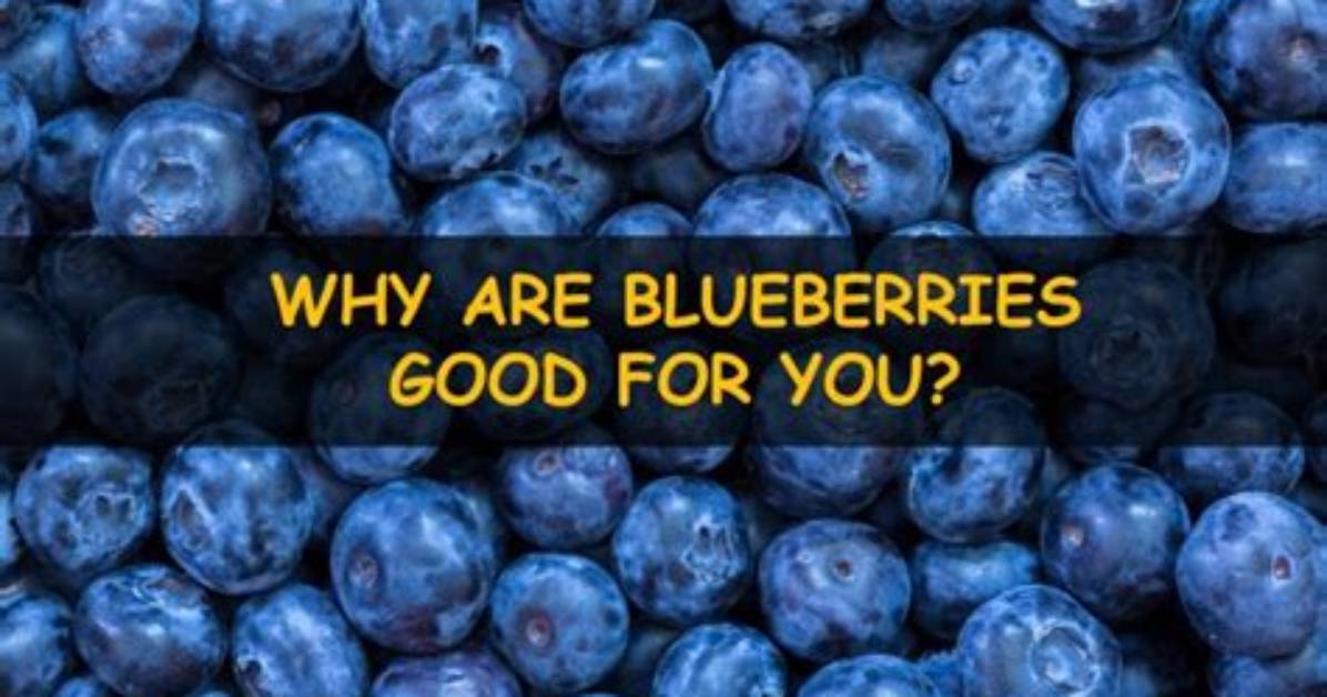 Why Bilberries Are Good?