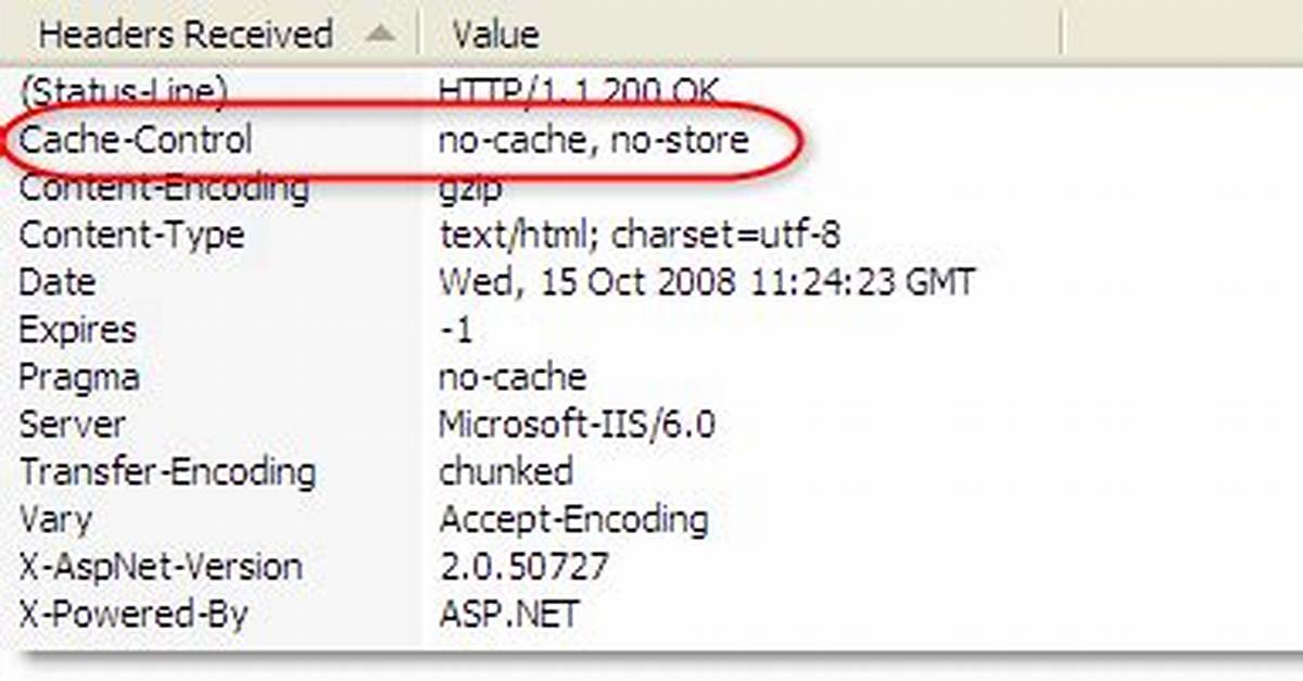 Why Both No-Cache and No-Store Should Be Used in Http Response?