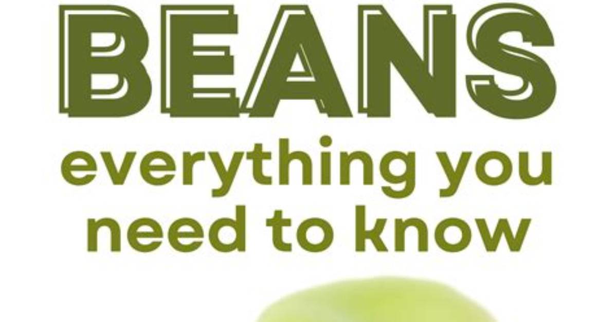 Why Broad Beans Is Bad