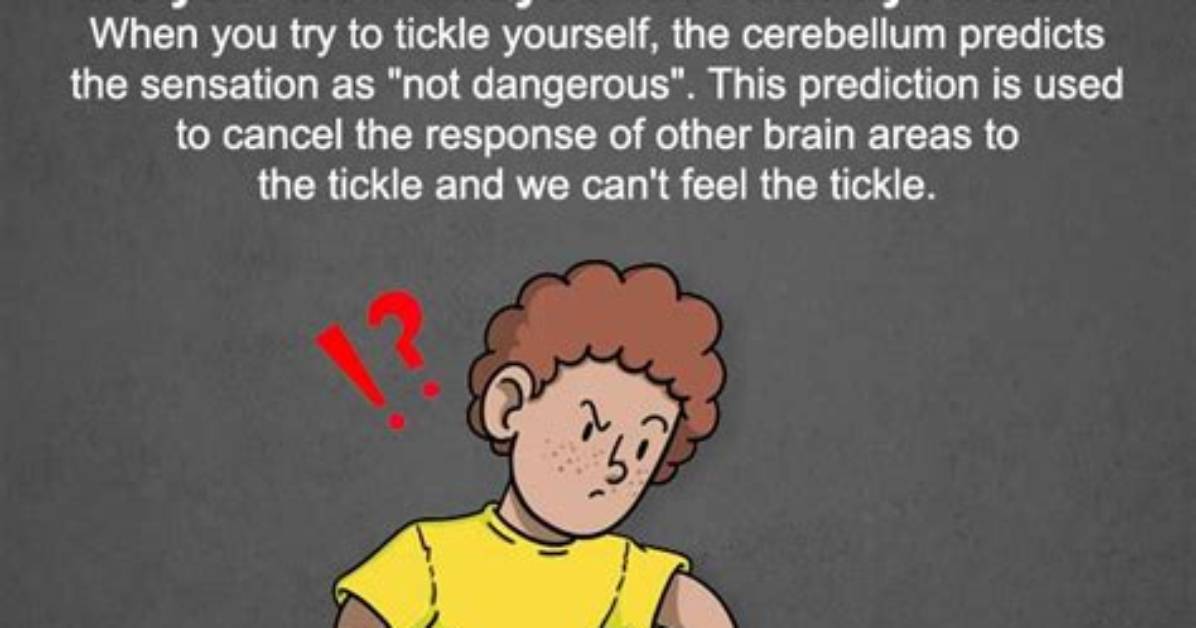 Why Can't You Tickle a Baby's Feet?