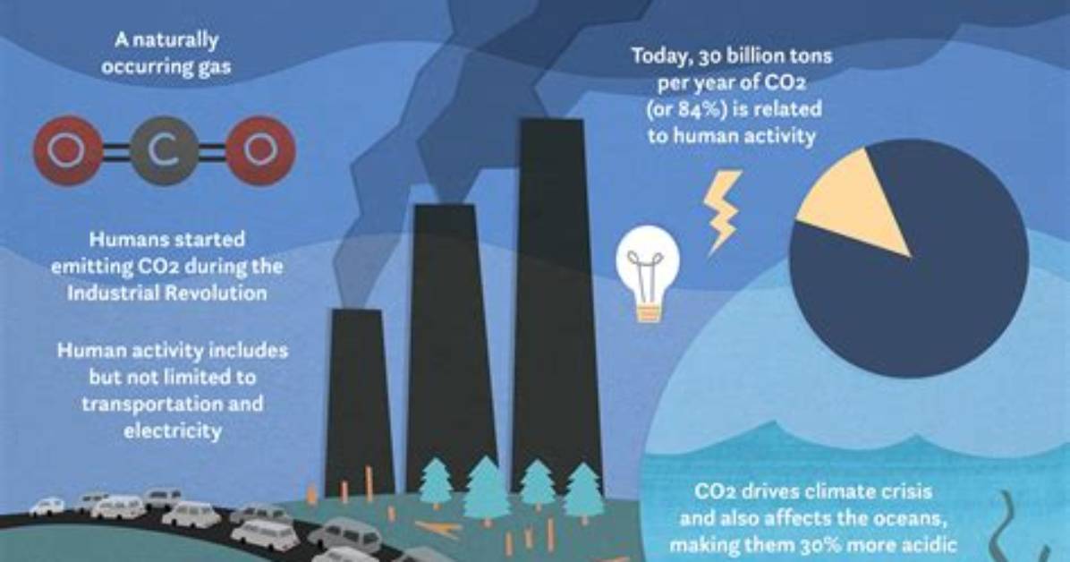 Why Carbon Dioxide Is Harmful?