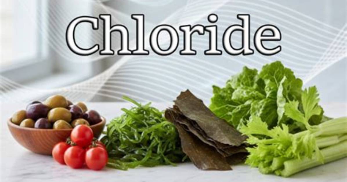 Why Chloride Is Electrolyte?