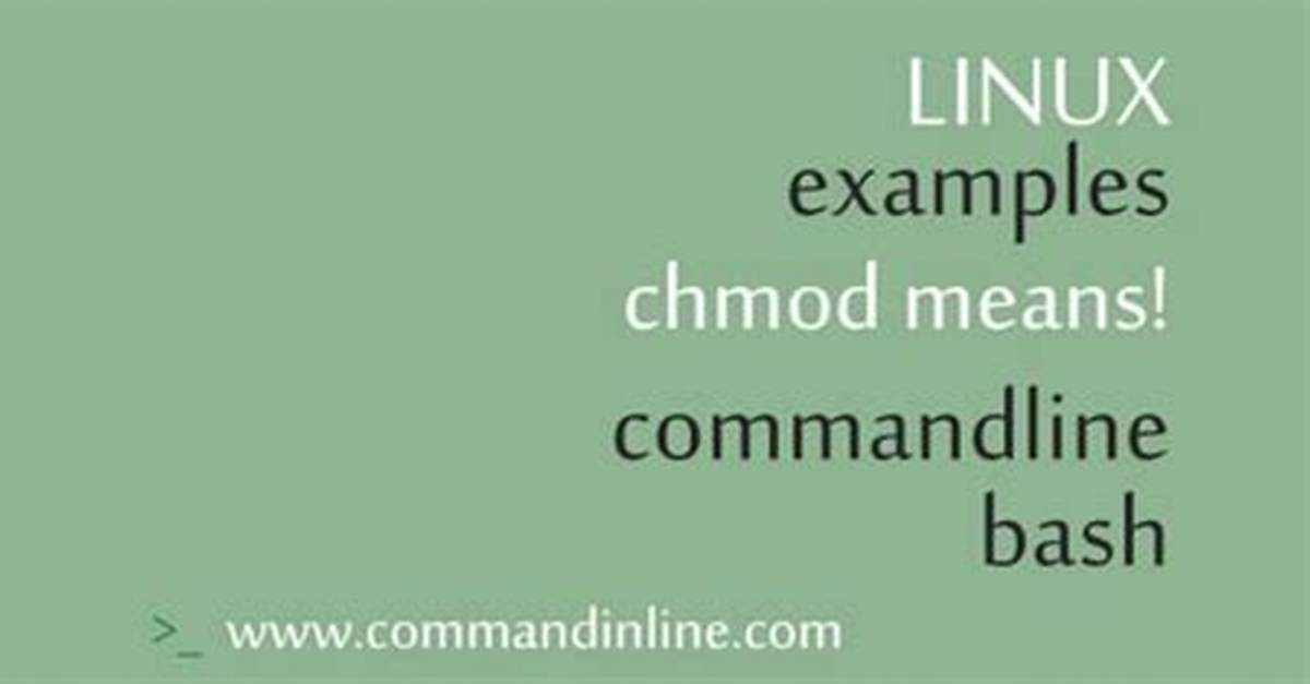 Why Chmod Is Used?
