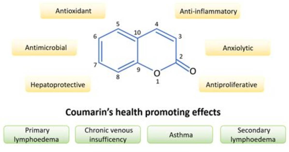 Why Coumarin Is Bad?