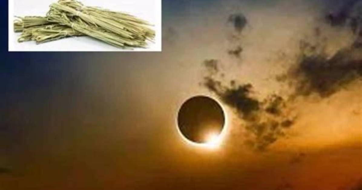 Why Darbha Is Used During Eclipse?