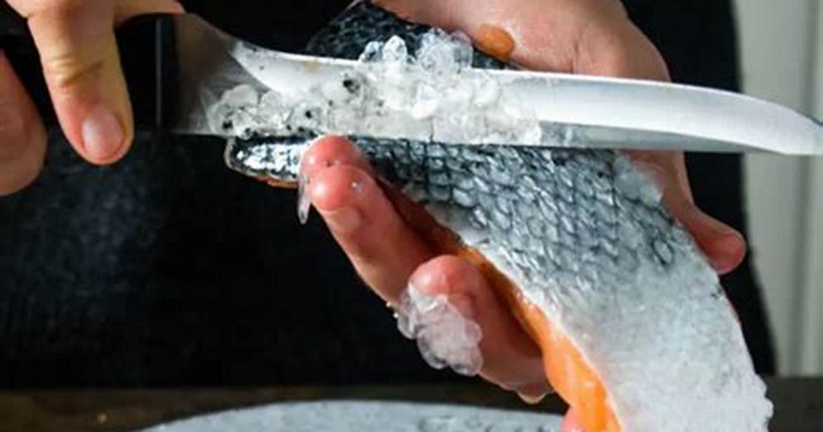 Why Descale Fish Before Cooking?