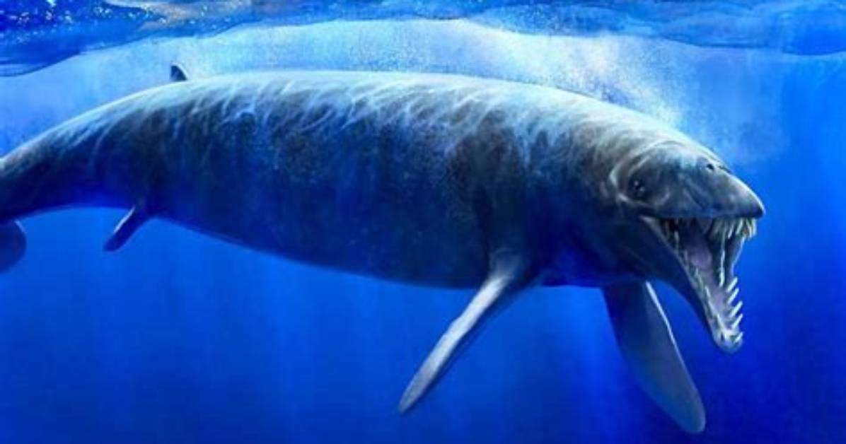 Why Did Basilosaurus Go Extinct?
