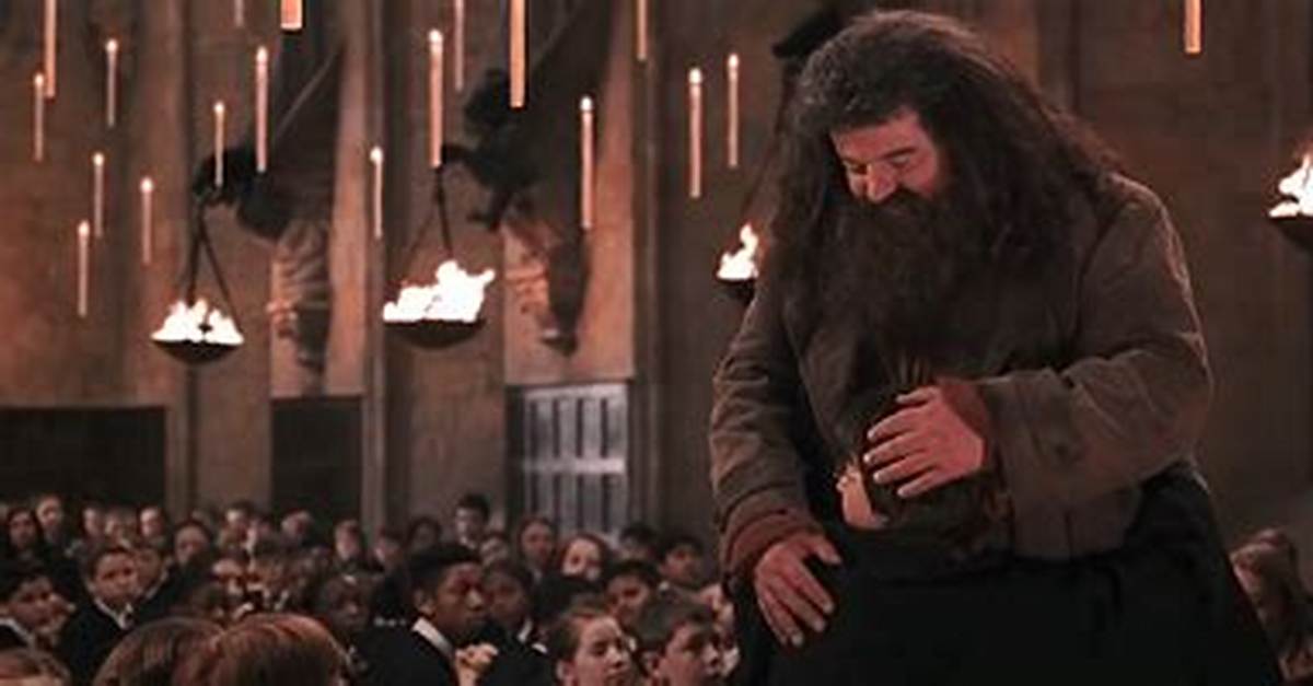 Why Did Hagrid Get Expelled