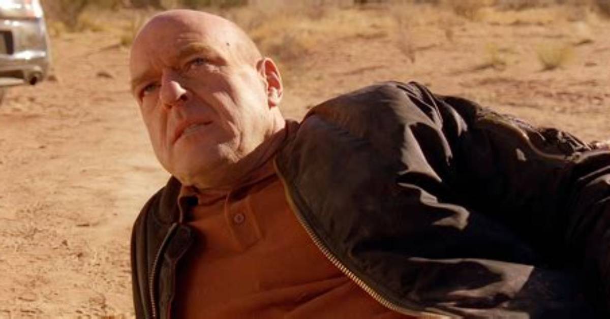 Why Did Hank Throw the Grill