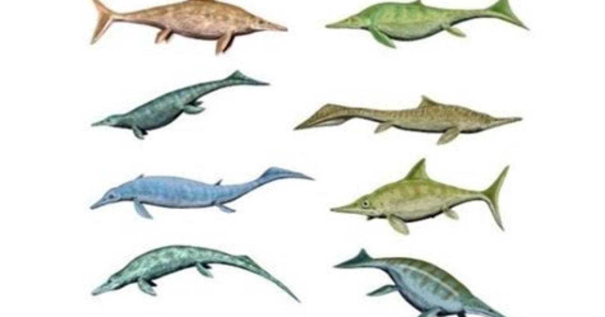 Why Did Ichthyosaurs Go Extinct?