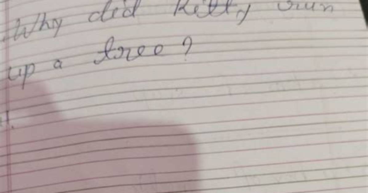 Why Did Mrs Kearns Write Run?