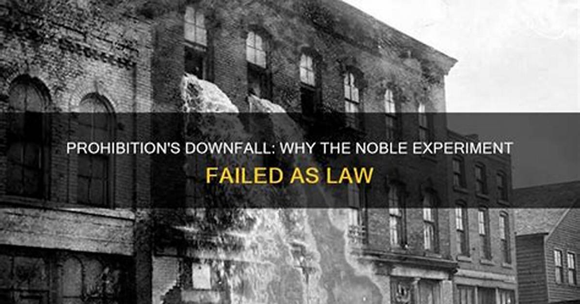 Why Did the Noble Experiment Fail