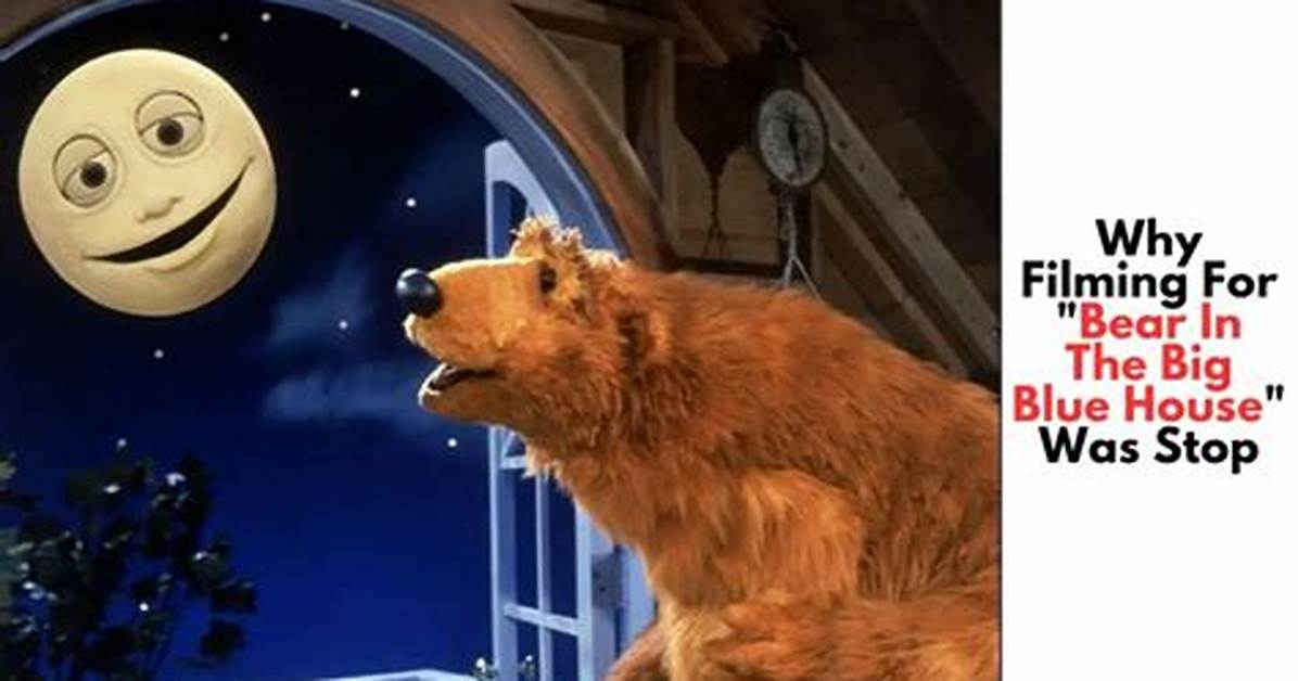 Why Did They Stop Filming Bear in the Big Blue House? – Celebrity