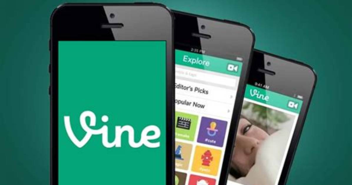 Why Did They Take Down Vine?