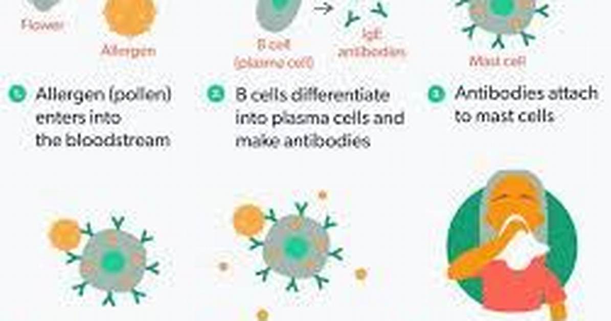 Why Do Allergies Exist?