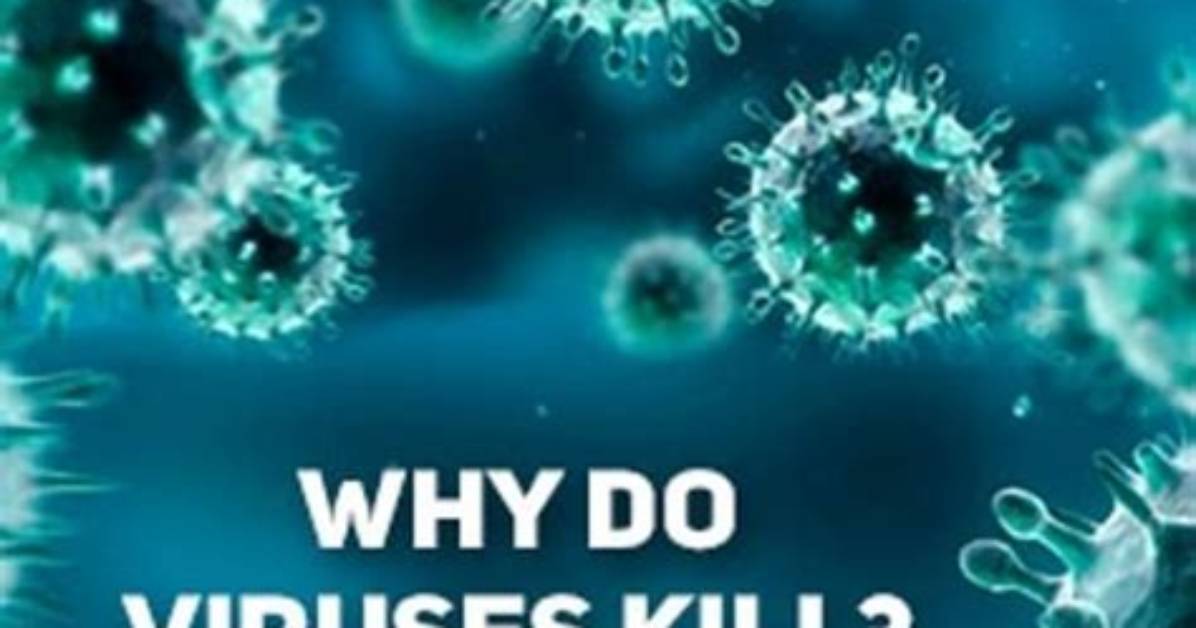 Why Do Androids Get Viruses?