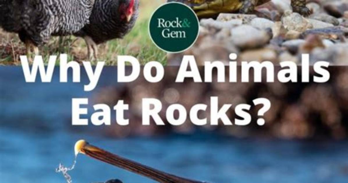 Why Do Animals Eat Plants