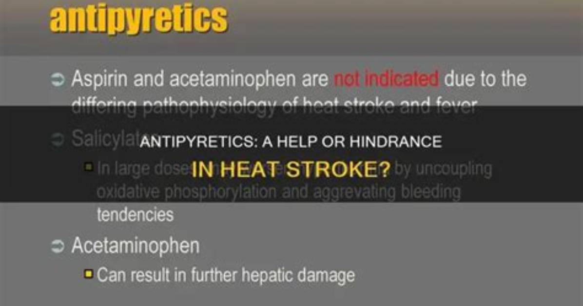 Why Do Antipyretics Work?