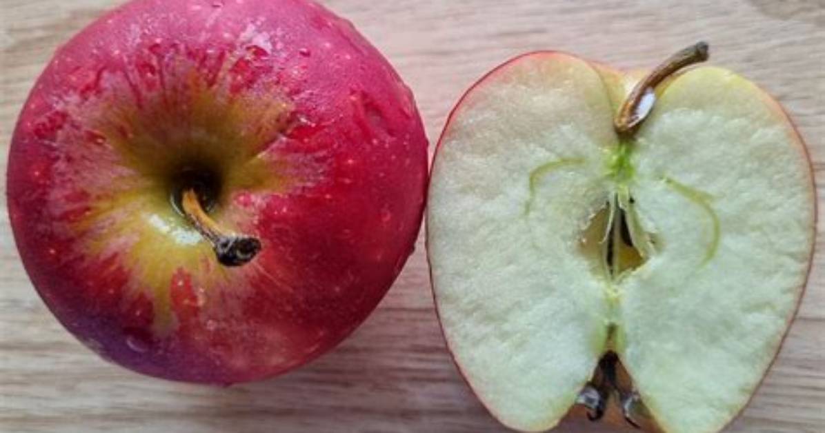 Why Do Apples Split on the Tree