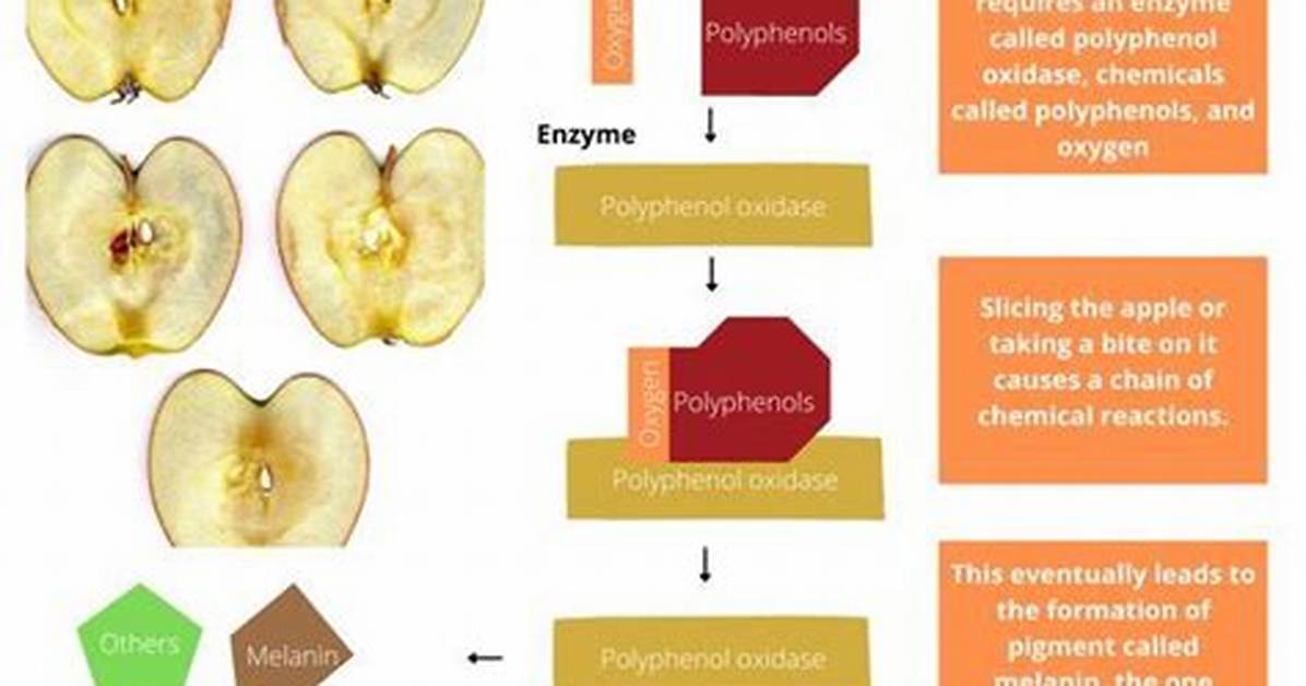Why Do Apples Turn Brown Quickly?