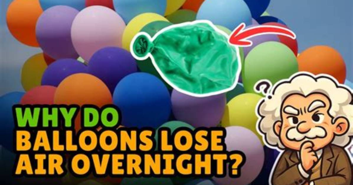 Why Do Balloons Lose Air?