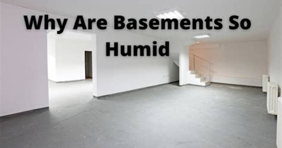 Why Do Basements Get Humid