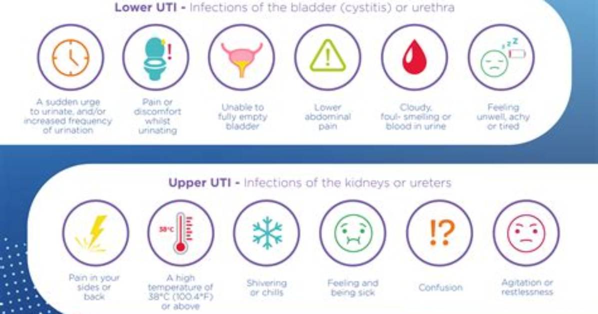 Why Do Catheters Cause Uti?