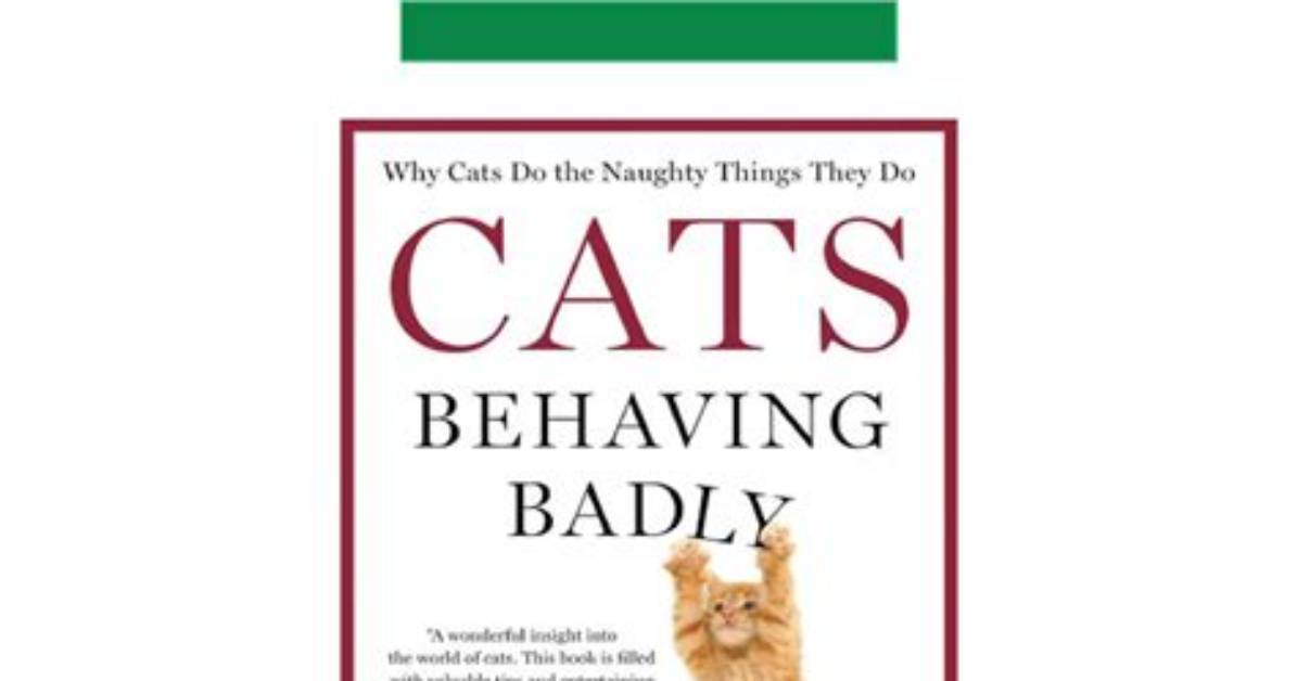 Why Do Cats Do Naughty Things?