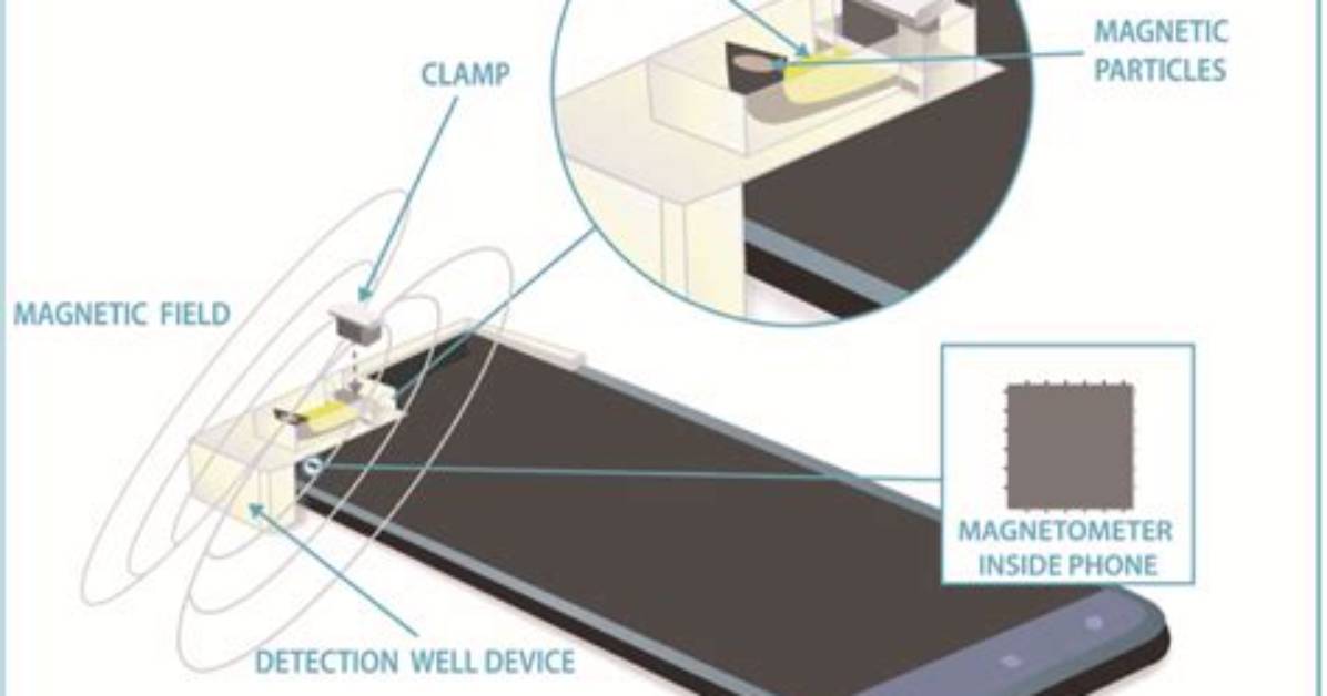 Why Do Cell Phones Have Magnetometer?