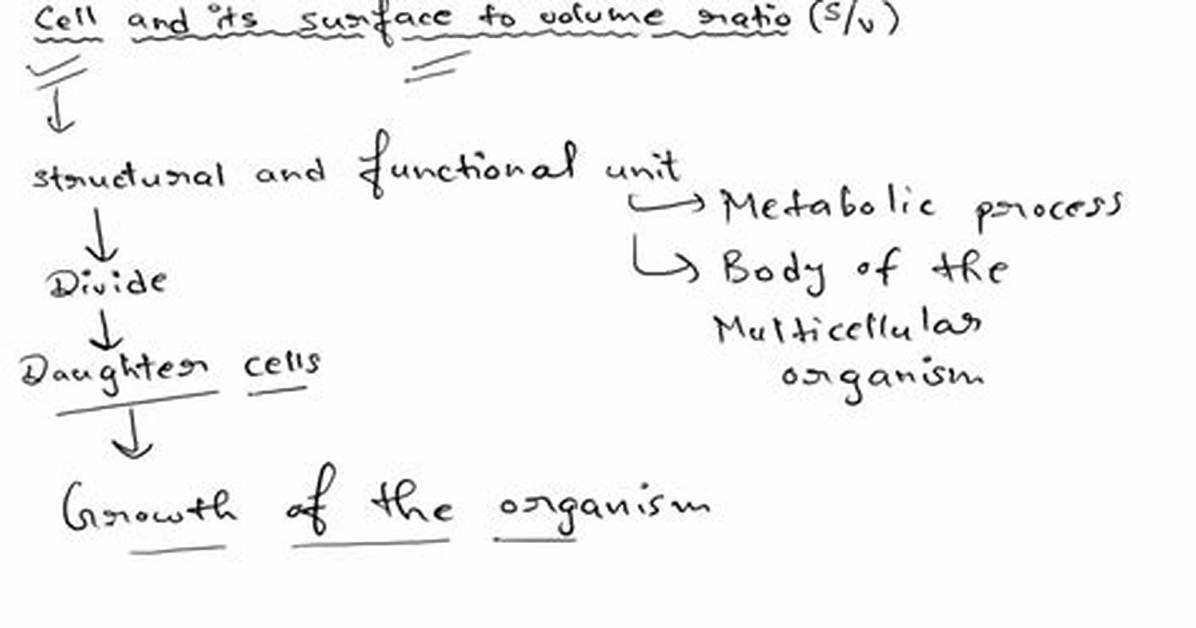 Why Do Cells Continue to Maintain Proto Oncogenes?