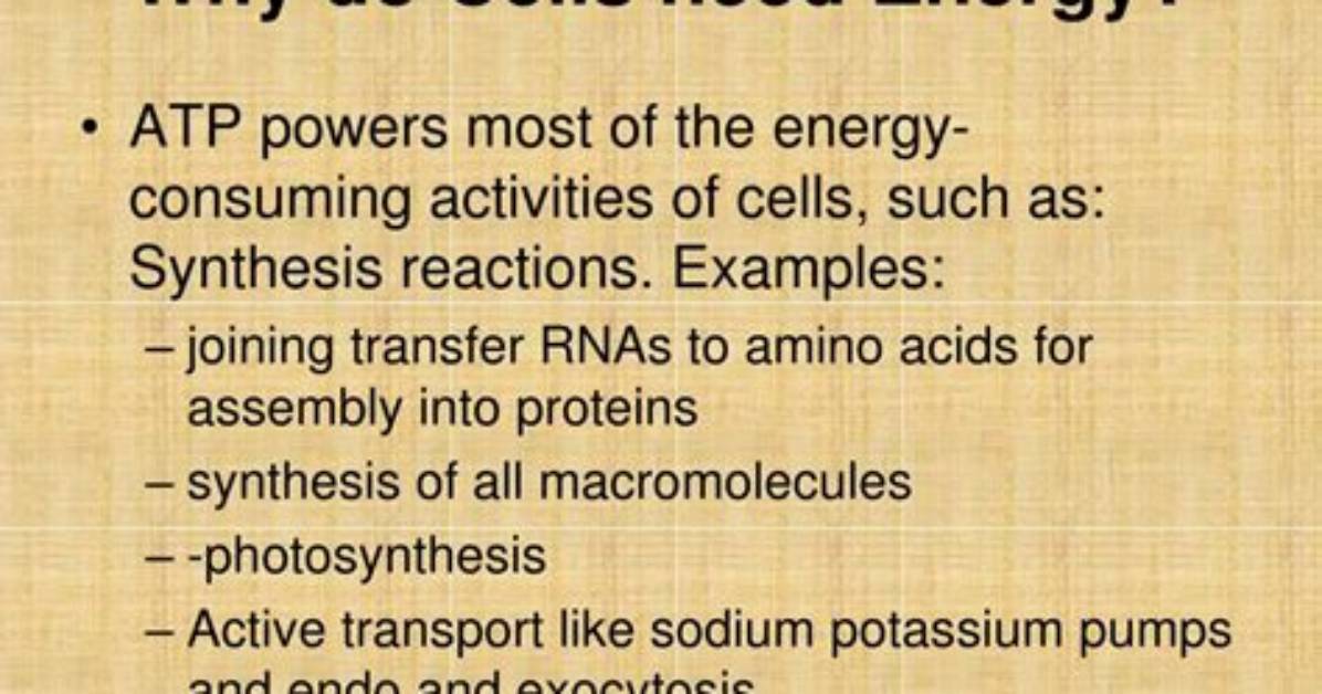 Why Do Cells Need Pumps