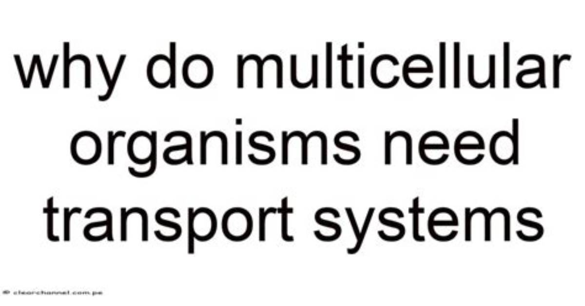 Why Do Complex Organisms Need Transport Systems