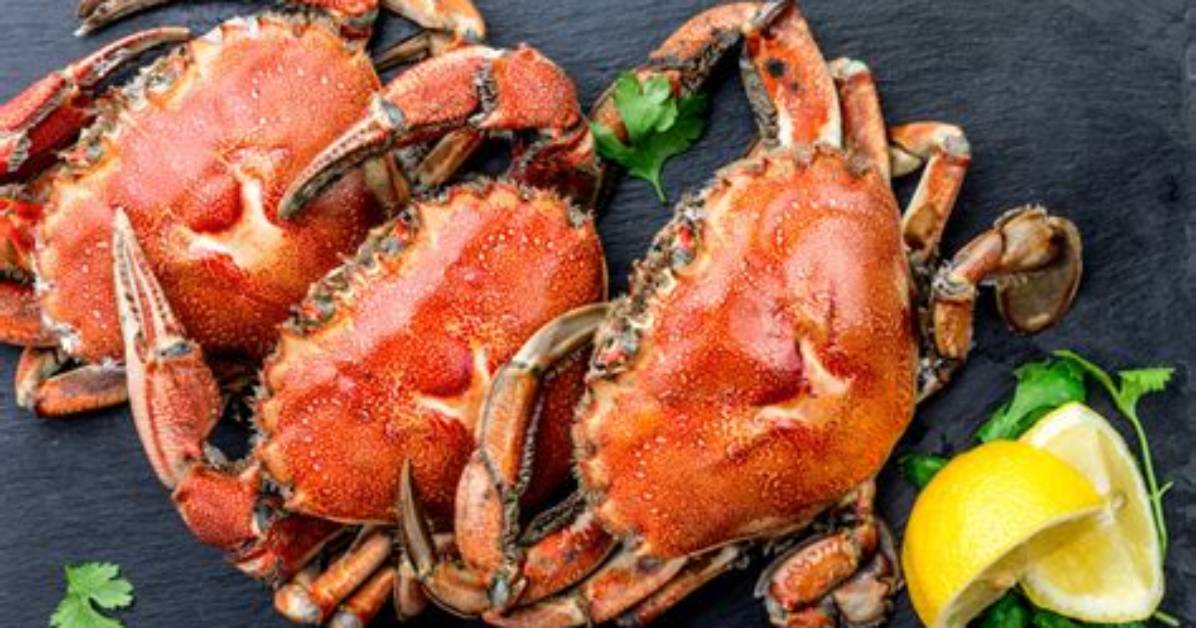 Why Do Crabs Turn Red When Cooked?