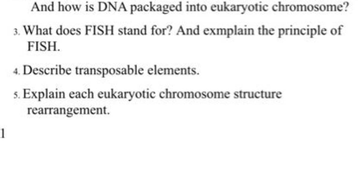 Why Do Ddntps Stop Dna Synthesis?
