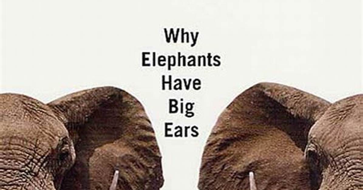 Why Do Deer Have Big Ears