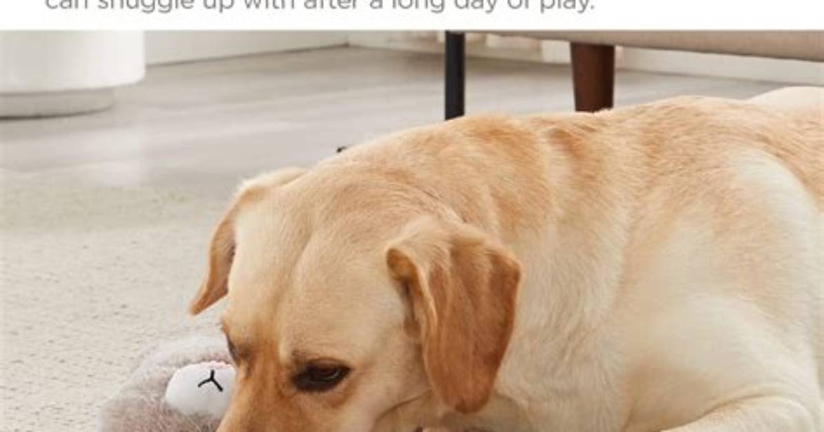 Why Do Dogs Cuddle Toys