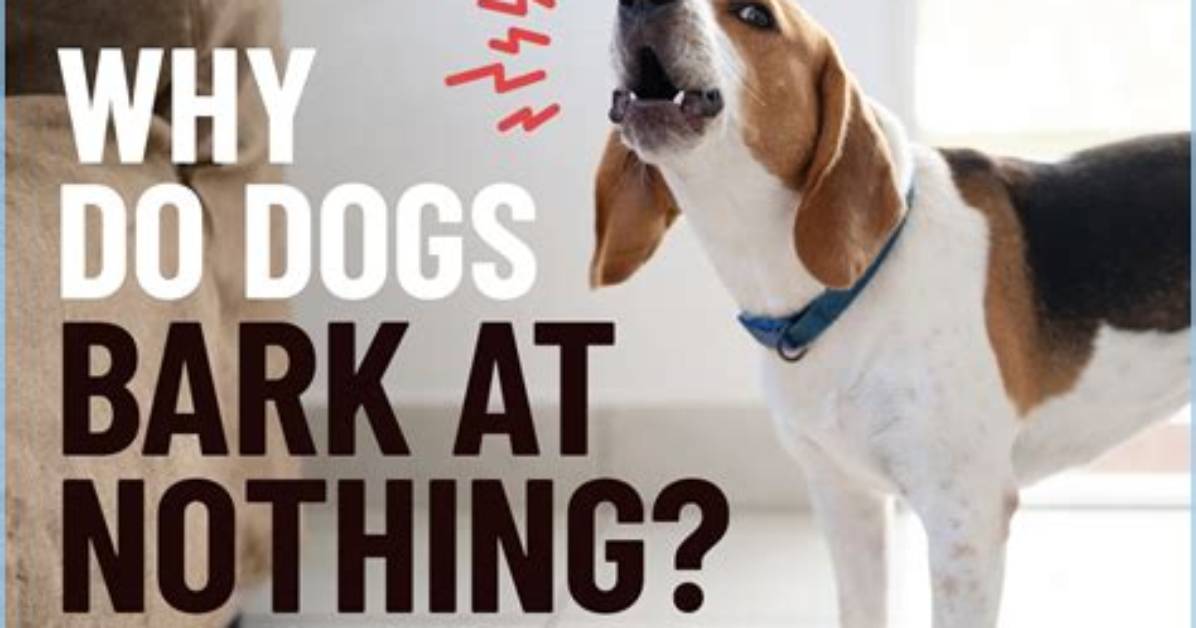 Why Do Dogs Deflea?