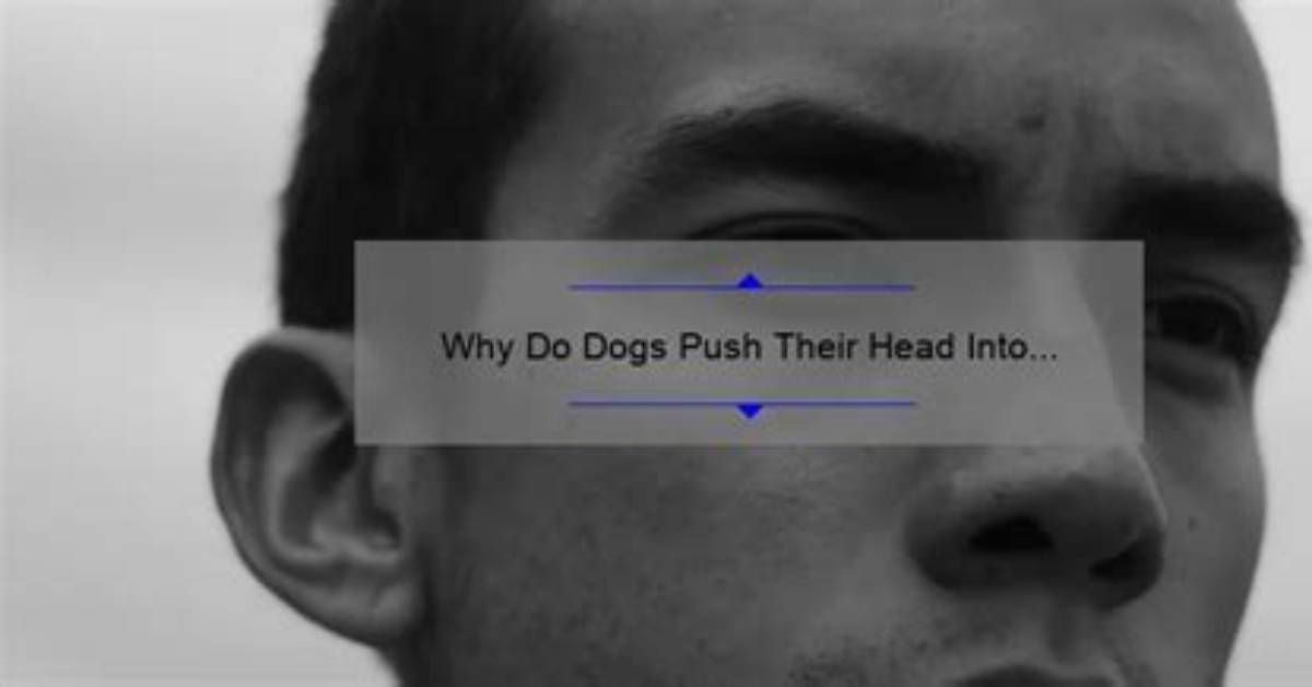 Why Do Dogs Push Their Heads into You?