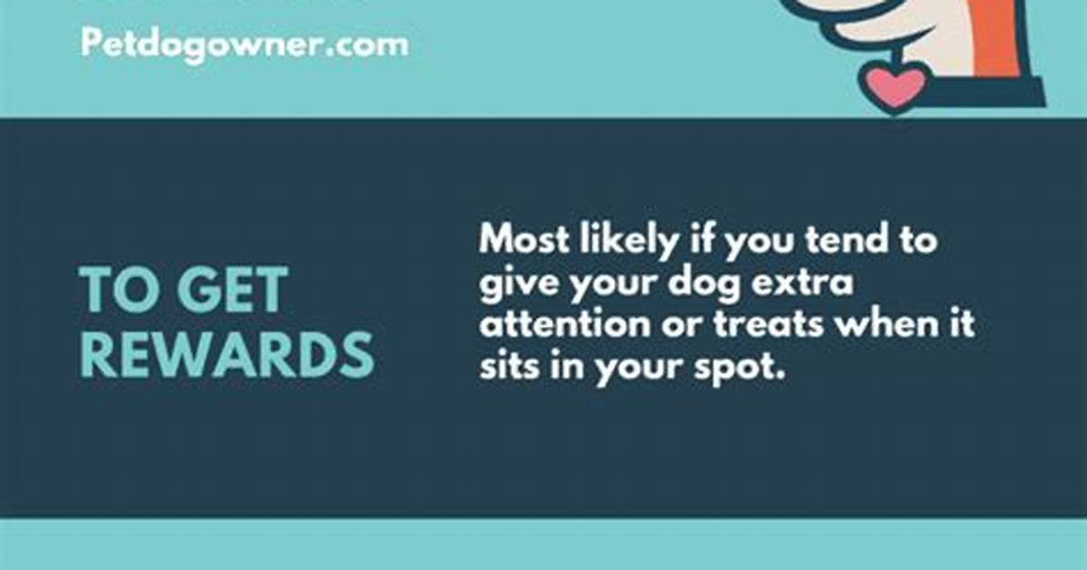 Why Do Dogs Wee on Lampposts?
