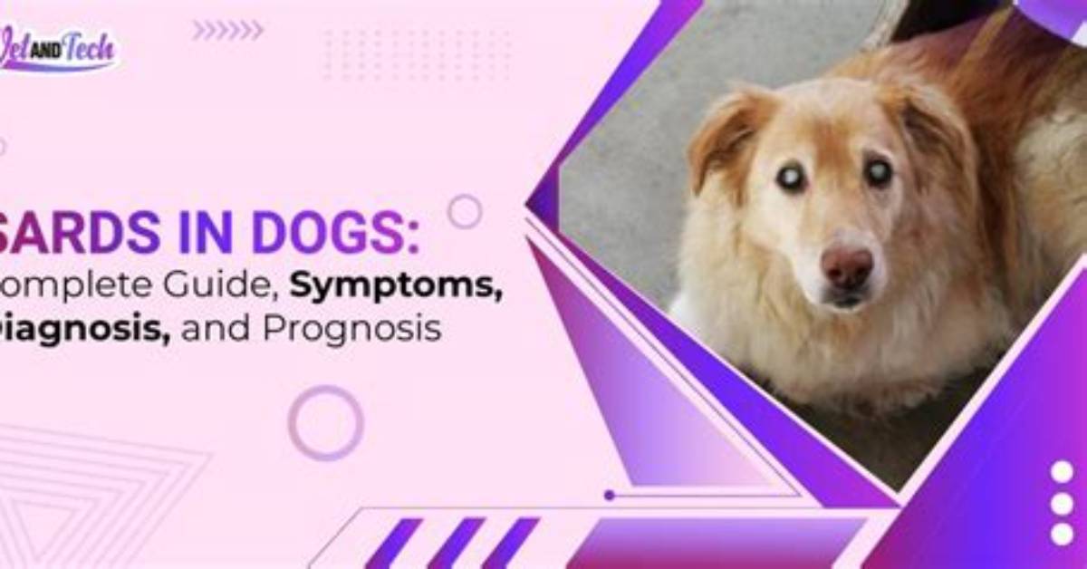 Why Do Dogs with Sards Drink More?