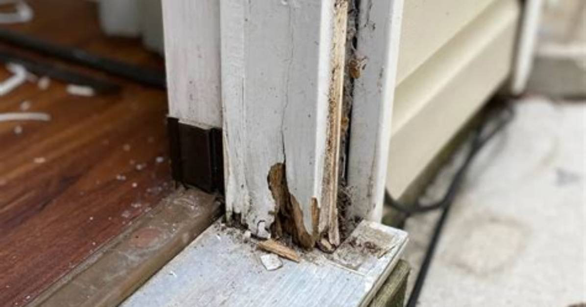 Why Do Door Jambs Rot?
