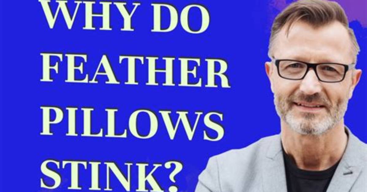 Why Do Down Feathers Smell