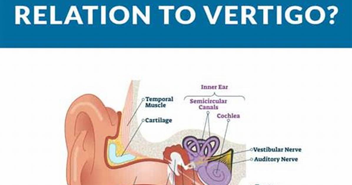 Why Do Ear Crystals Dislodged?