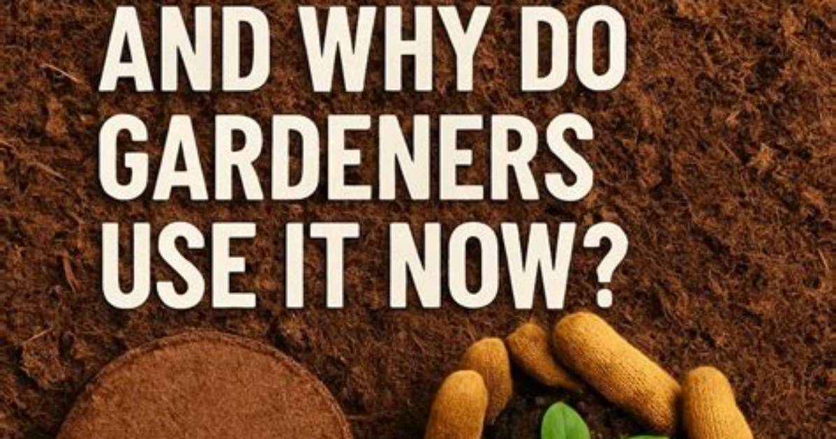 Why Do Farmers Use Peat