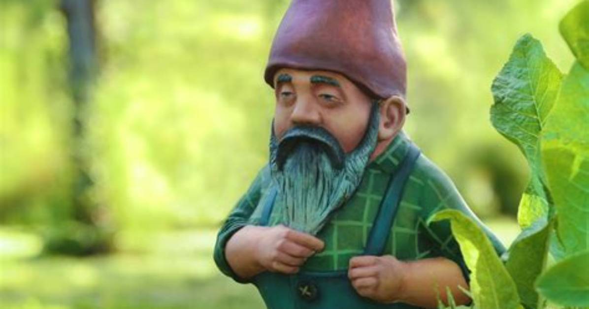 Why Do Gnomes Exist?